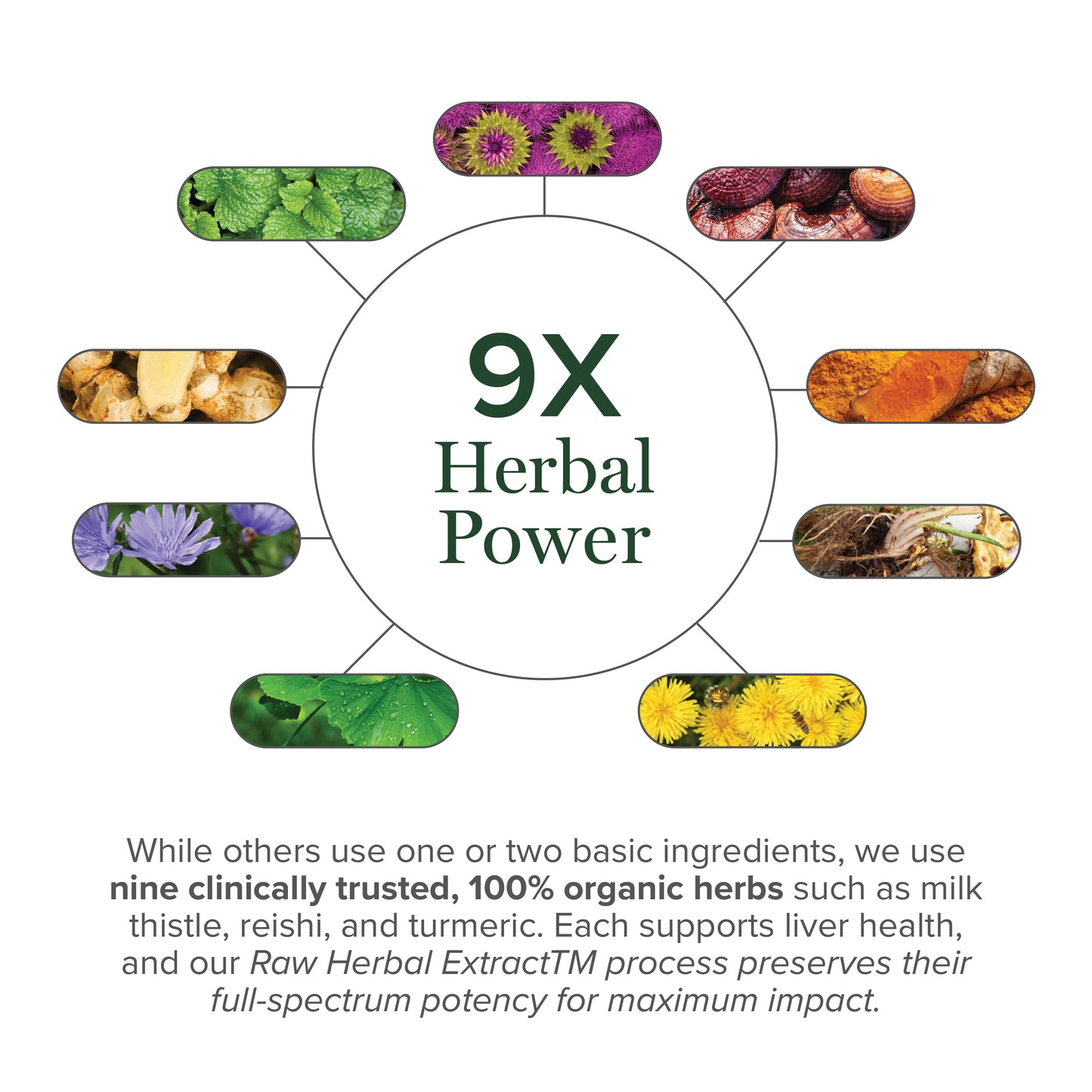 Liver Health