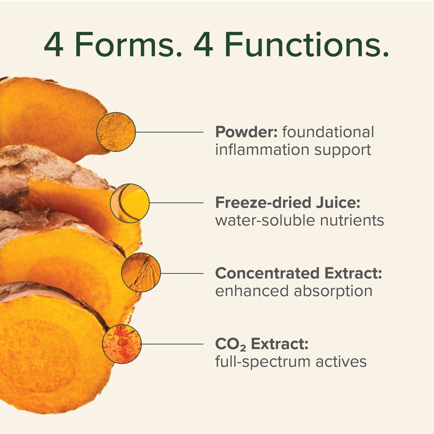 Turmeric