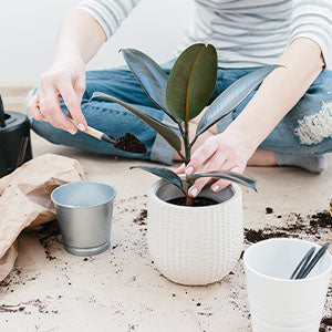 A woman potting a plant.