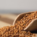 A pile of chickpeas on a table. Fatigue, chronic cold, infertility, and slow wound healing are signs of selenium deficiency.