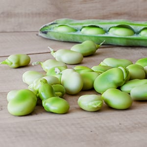 These fresh lima beans are a great source of selenium, an essential mineral with many benefits to your body.