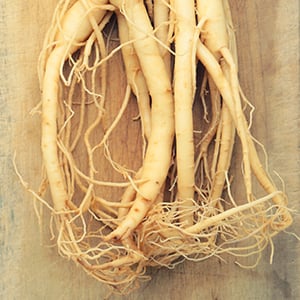 Energy is one of the main benefits of American Ginseng.