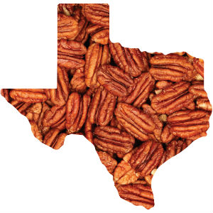 pecans-in-shape-of-Texas