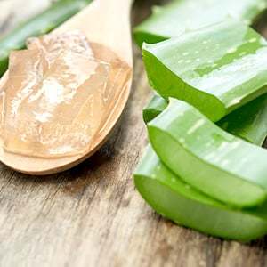 Vitamins and Minerals Are Among the Many Benefits of Aloe Vera.