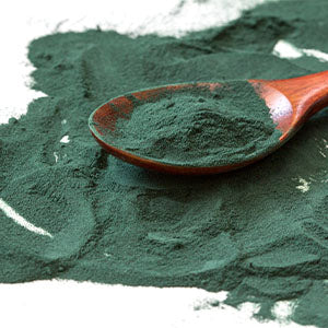 A spoonful of powdered spirulina.