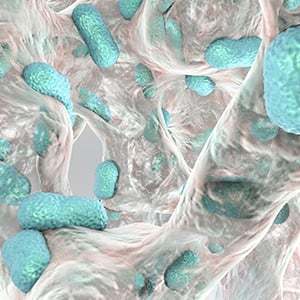 Biofilms form in the different areas like the appendix, mouth, lungs and the colon.