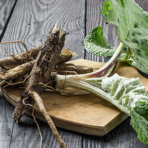 Burdock root and leaves on a cutting board.