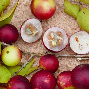 The camu camu fruit