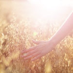 A woman is walking through a sunny field. Cellular metabolism refers to all chemical changes that take place within a cell.