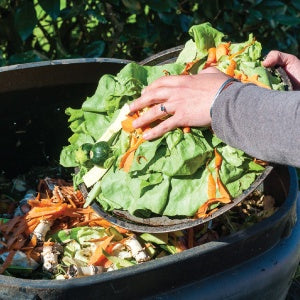 An individual is composting old vegetables. There are tons of items that you may not know you can compost.