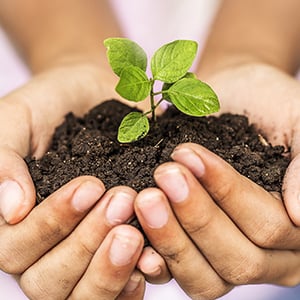 A person holding soil. Planting a tree is a simple way to support Earth Day.