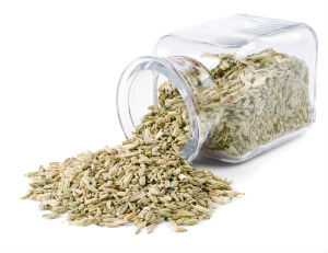 The Weight Loss Benefits of Fennel Seed Essential Oil