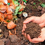 A person holding soil. Composting and saving water are simple ways of going green.