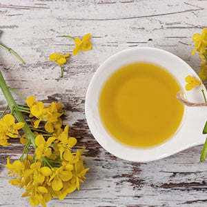 A small bowl of plant-based oil. Plant-based oils are some of the healthiest cooking oils you can find.