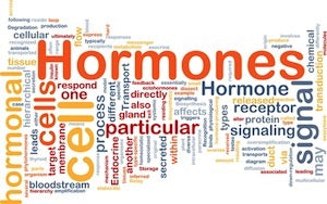 hormones