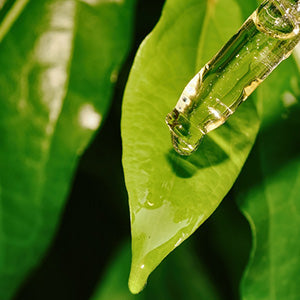 How Global Healing Ensures Purity, Safety, and Quality with Rigorous Testing