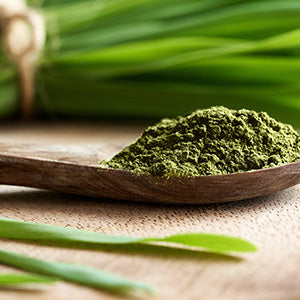 How Wheatgrass Contributes to Nutrition and a Healthy Diet