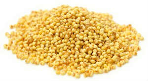 Millet