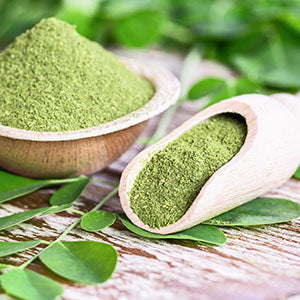 A bowl of moringa powder. Moringa's benefits are endless!