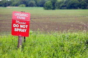 Organic farm, no pesticides!