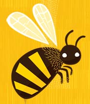 Bee Illustration