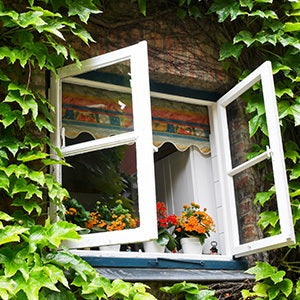 An open window creates circulation that can help reduce indoor air pollution.