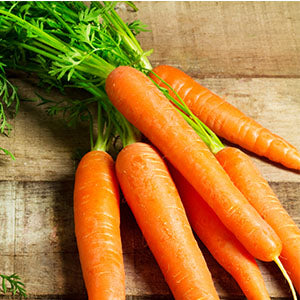 A carrot is one of the best vegan foods for kids.