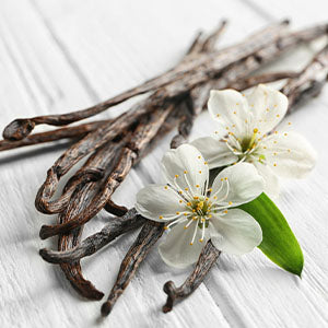 A vanilla bean plant.