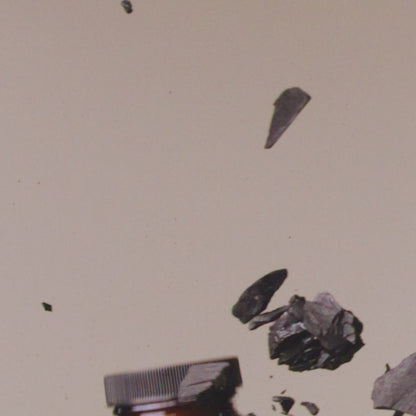 Ozonated Activated Charcoal