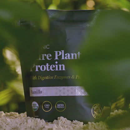 Protein Powder