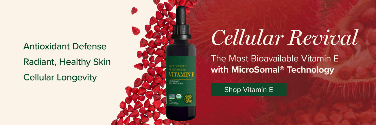 vitamin-e-desktop-july-2025-banner.jpg?v=1752596351&width=1300