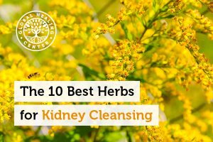 Goldenrod Is One Of The Best Herbs For Kidney Cleansing.