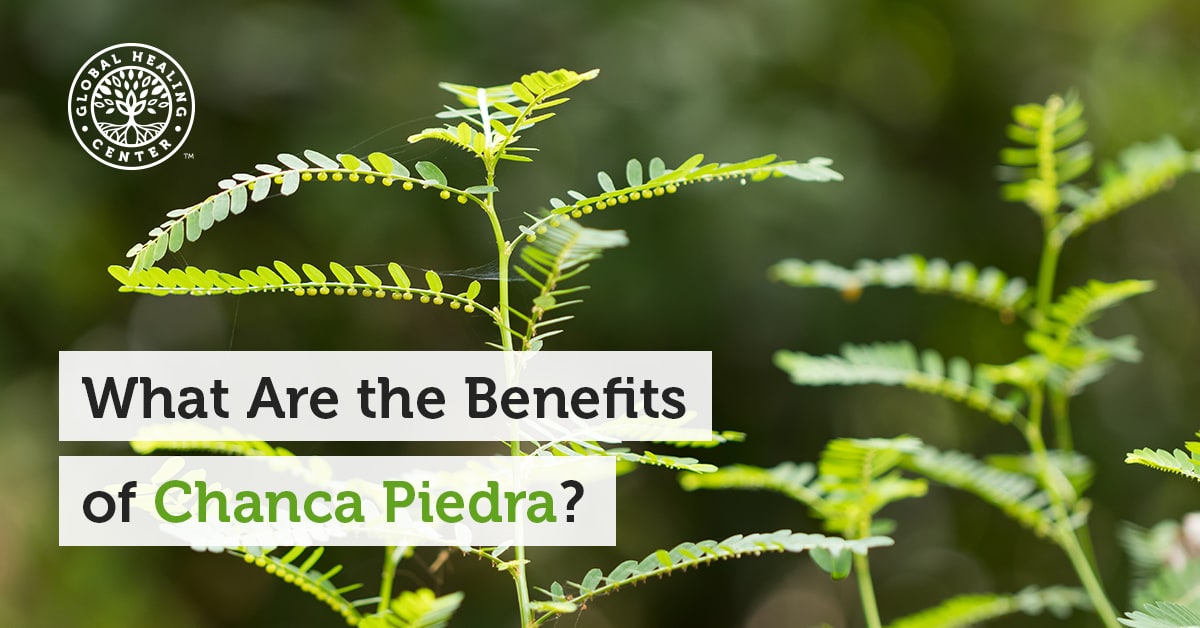 What are the Benefits of Chanca Piedra?