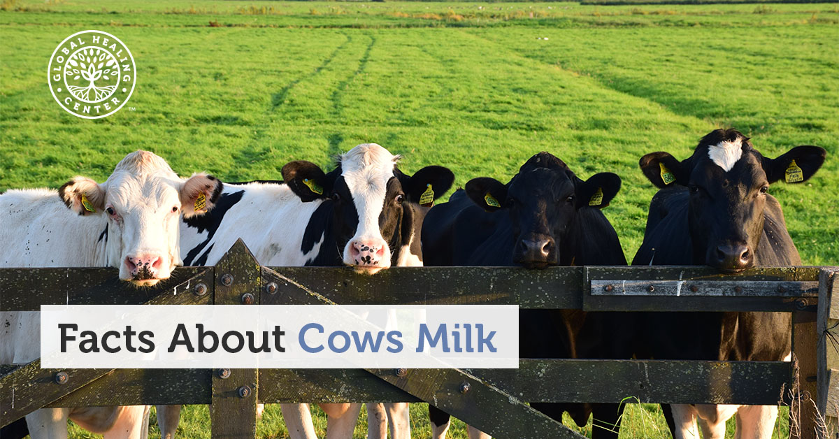 10 Shocking Facts About Cow's Milk